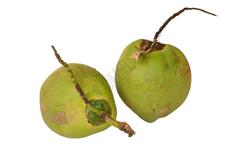 椰子水果叶子坚果绿色白色食物大自然异国情调背景图片
