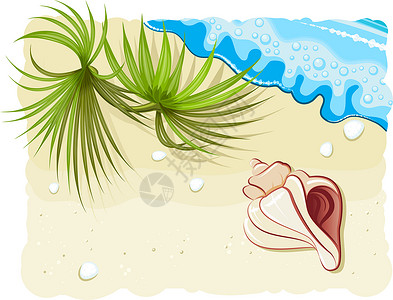 海滩珍珠带海枣叶的贝壳插画