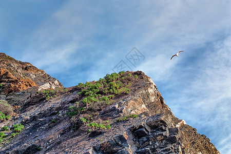 山海经姑获鸟笼口通过马古点背景