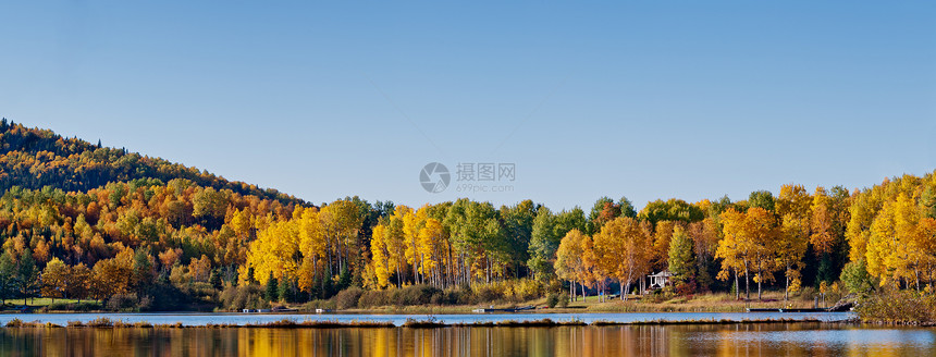 湖中脆弱的森林反射云杉植物群风景蓝色红色黄色橙子天空荒野反思图片
