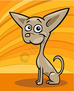 奇瓦瓦狗漫画插图卡通片快乐犬类尾巴绘画小狗黄色鼻子吉祥物宠物背景图片