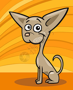 奇瓦瓦狗漫画插图吉祥物宠物卡通片快乐褐色鼻子尾巴犬类小狗黄色背景图片