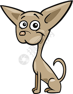 奇瓦瓦狗漫画插图卡通片褐色小狗鼻子快乐绘画犬类尾巴宠物吉祥物插画