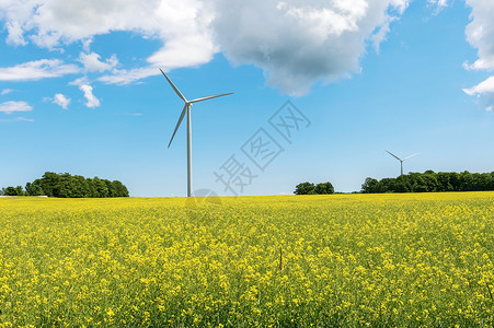 风风车涡轮涡轮机场地发电机能源风车风力螺旋桨天空背景图片