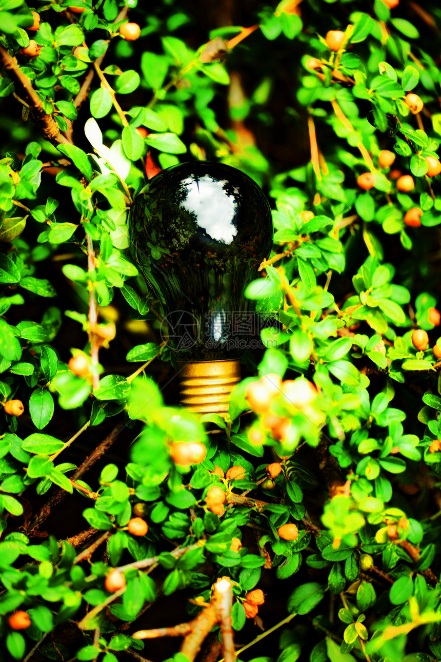 灯泡握在手掌中活力照明工业玻璃电气想像力绿色生长白炽灯创造力图片