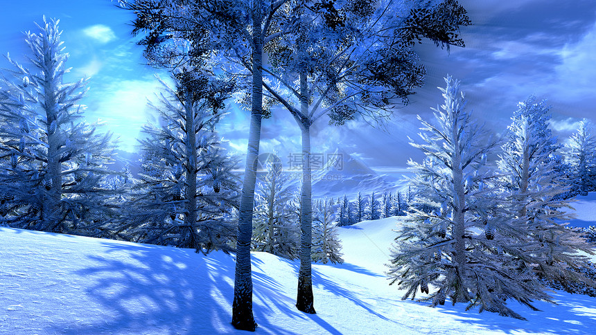 圣诞 魔林木头公园照明气候首脑童话晴天降雪阳光季节图片