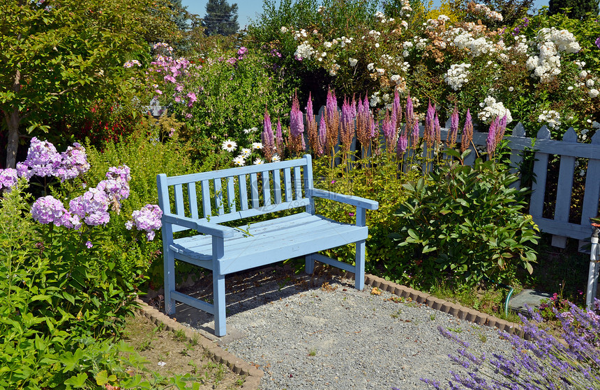 蓝花园长椅蓝色花园公园座位院子长凳花朵露台植物植物群图片