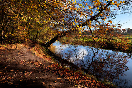 德伦特沿河流在秋季森林路径中背景