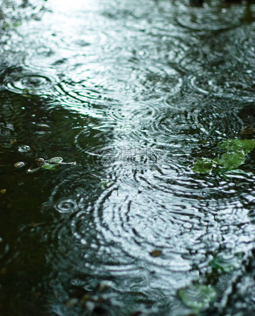 下雨天气雨滴反射液体圆圈风暴涟漪水坑池塘飞溅波纹图片