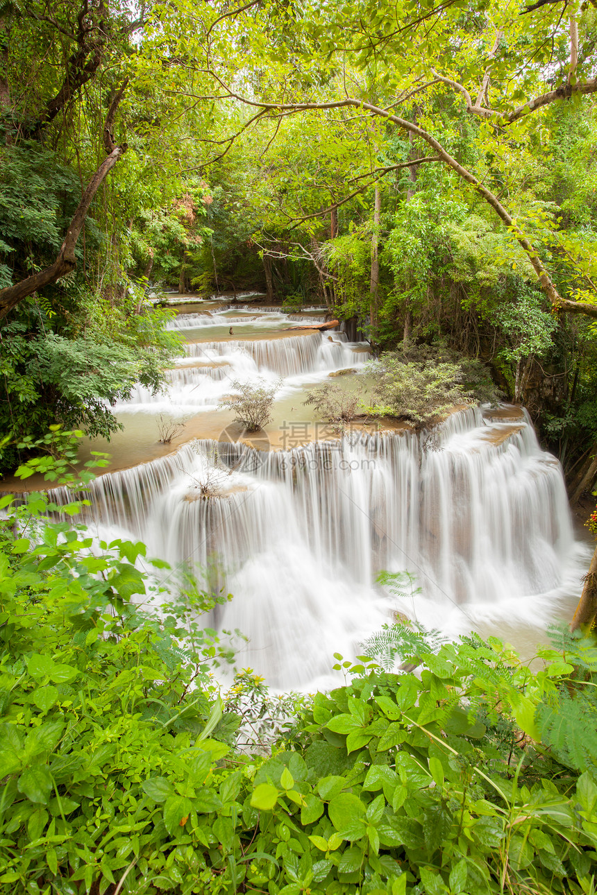 热带热带雨林瀑水天堂公园旅行全景衬套溪流飞溅丛林水景木头图片