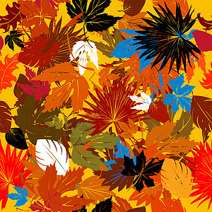 装饰性的秋季图形背景图片