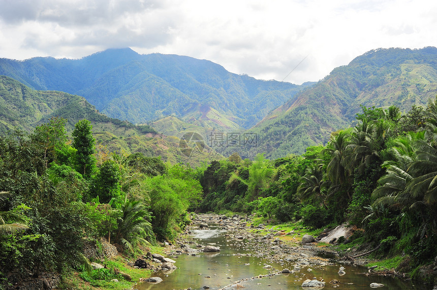 科迪勒拉山脉场景场地叶子气候山沟森林土地旅行农业环境图片