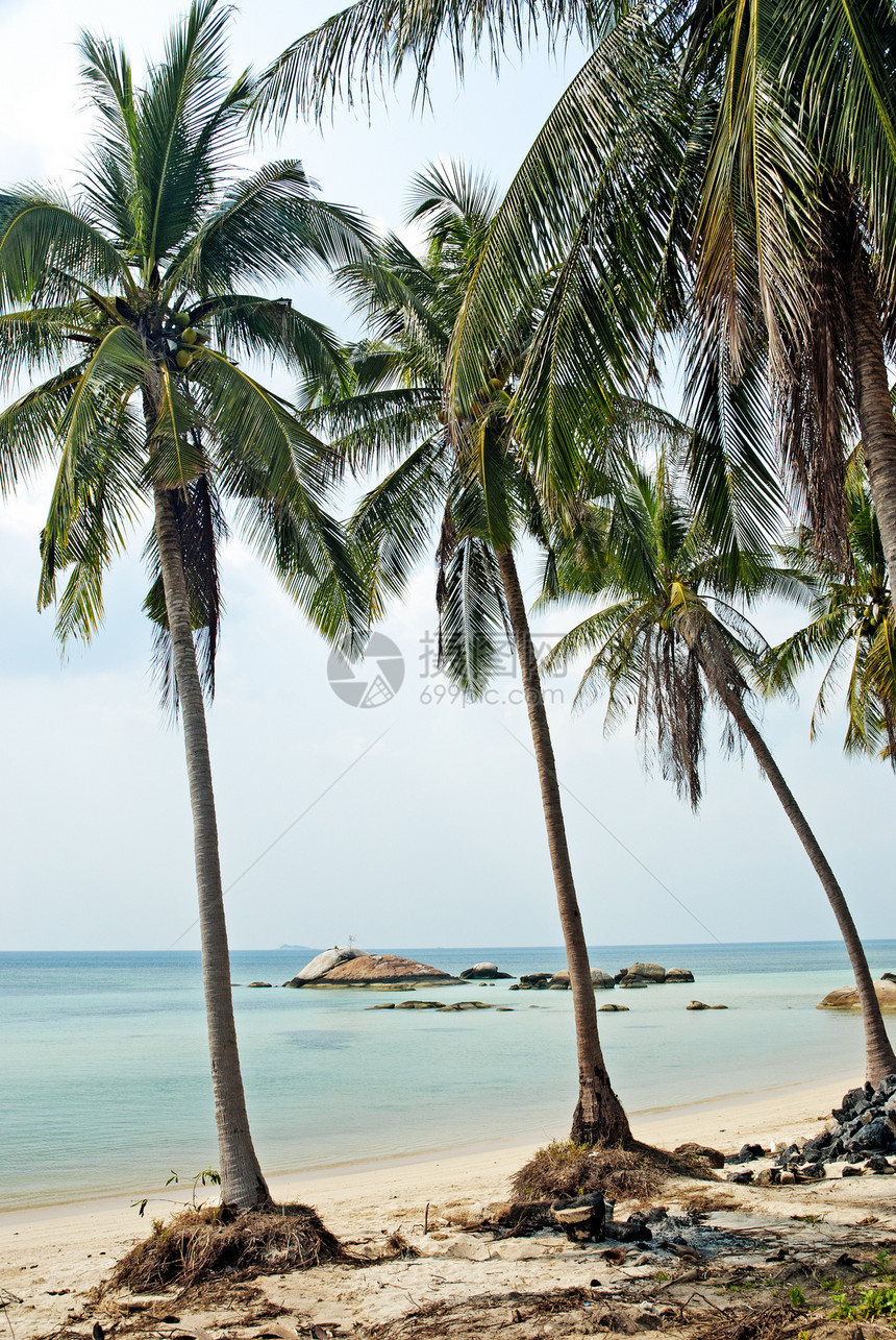 普吉塔兰附近的热带异国热带沙滩天堂海岸情调旅行海滩海岸线风景假期图片