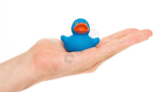 小鸭子玩具手持蓝橡胶鸭背景
