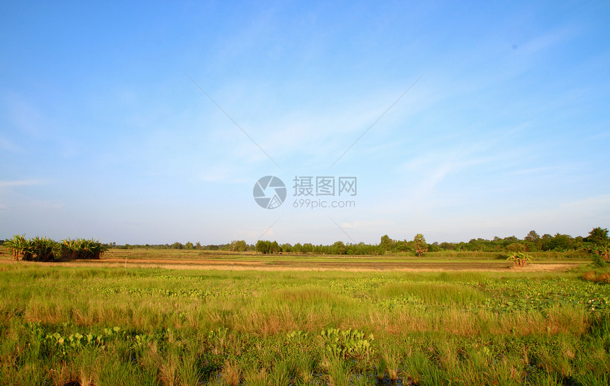 A 国家一面的农村地貌季节农场土地场地远景晴天木头生态地平线森林图片