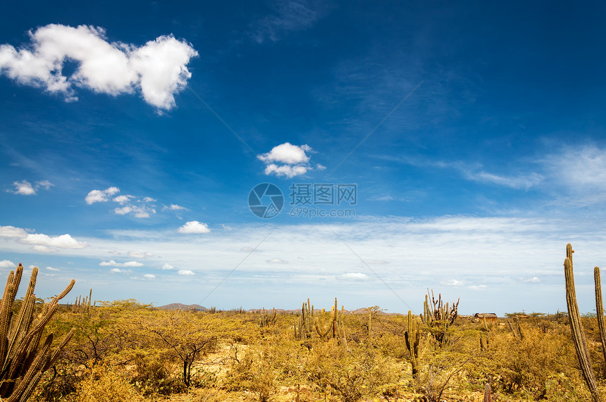 深蓝天空的沙漠景观图片
