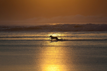 西班牙坎塔布里亚 莱恩克雷斯 巴尔迪埃雷纳斯海滩旅行国家波浪留置海洋储备自然保护区旅游日落晴天背景图片
