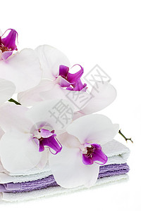 紫色毛巾浴室卫生保健高清图片