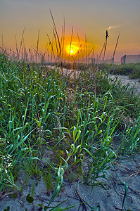 拜月娘美月在莫托海滩的日出背景