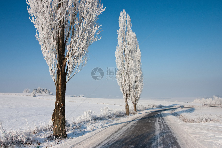 冬季公路蓝色天空草地树木线条阴影季节植物图片