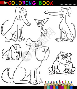 纽芬兰卡通狗或涂色书用的小狗填色彩页蜡笔吉祥物绘画教育收藏染色快乐宠物插画