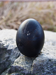 日本黑烟黑火山泥土鸡蛋高清图片