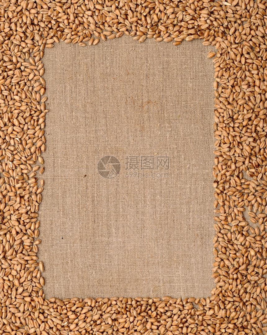 粗糙麻袋材料上的小麦耳朵金子粮食谷物框架稻草收成木板边界面粉面包图片