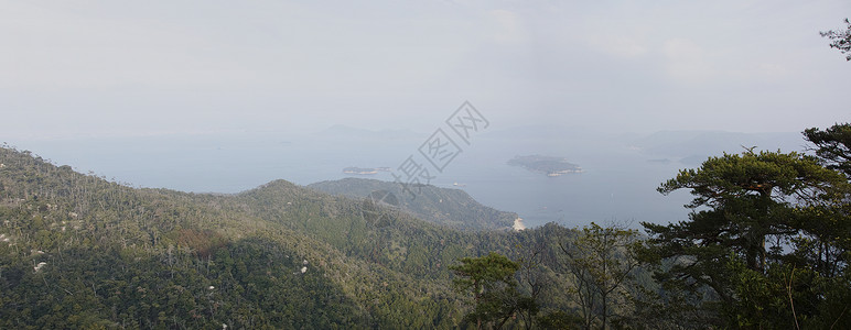 严屹宽日本世托海全景场景树木海洋叶子植物海岸森林风景背景