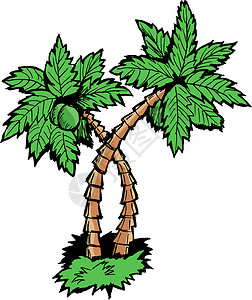 椰枣树海洋热带树干卡通片椰子树林绿色海滨木头叶子背景图片