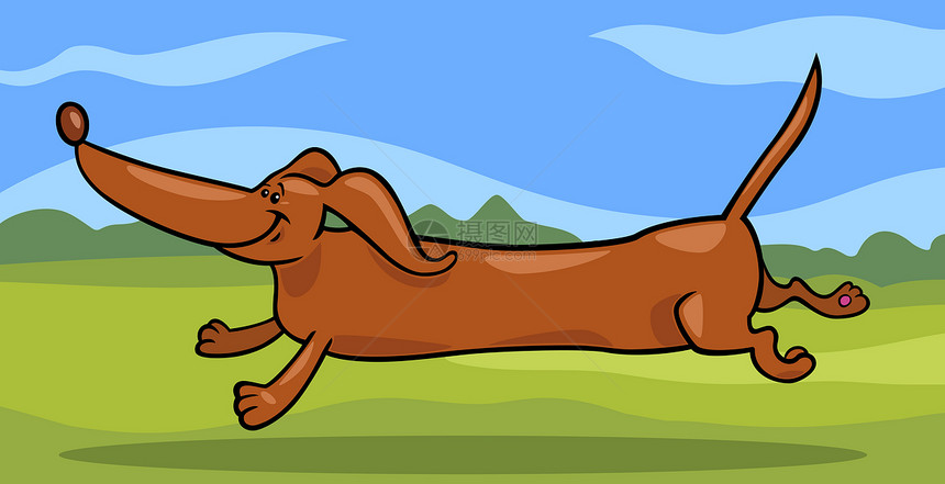 运行 dachshund 狗卡通插图卡通片微笑漫画绘画天空宠物国家快乐吉祥物小狗图片