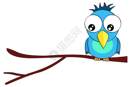 树枝带字素材在白色背景上孤立的树枝插图上的卡通微笑鸟字字符喜悦蓝色柔软度童年刘海吉祥物幸福场景绘画手工背景