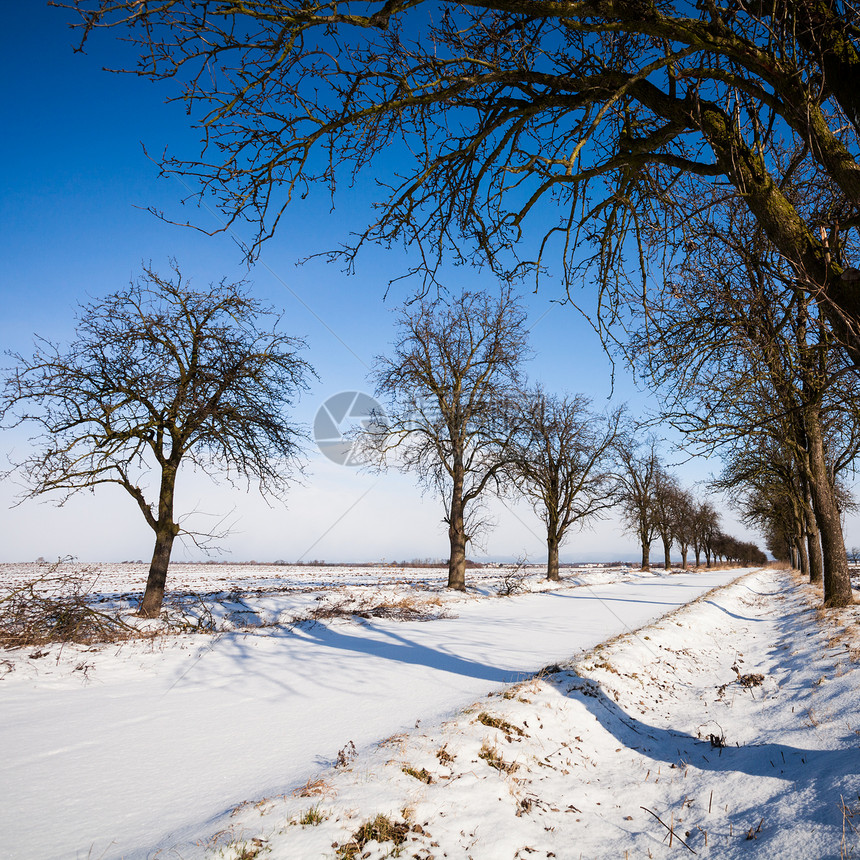 可爱的冬季蓝宝石     铺满鲜雪的小巷小路农村日光天际蓝色阳光寒冷国家天空季节图片