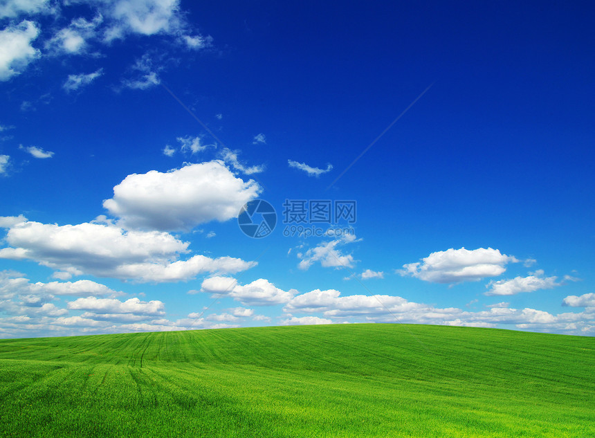 绿绿地农村天堂晴天地平线场景国家季节远景阳光草地图片