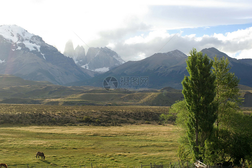 智利的景观场地全景农村风景国家乡村荒野牧场草原草地图片