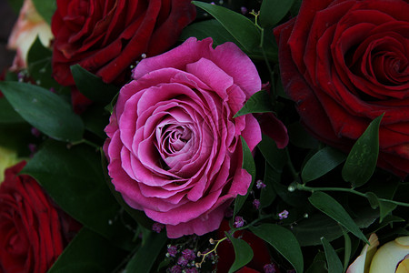 多彩玫瑰花花束植物粉色植物学植物群黄色花朵花瓣绿色玫瑰背景图片