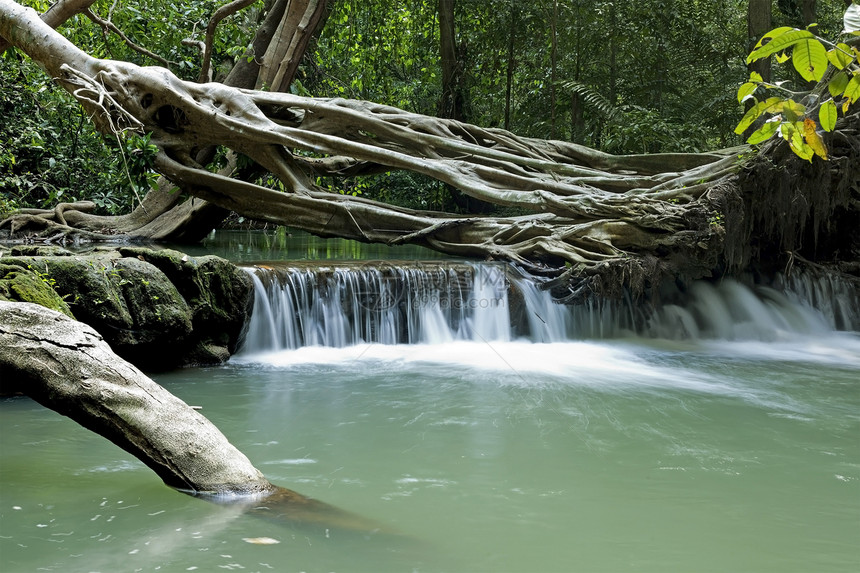 热带森林的瀑布荒野环境植物群公园灯光旅行图片