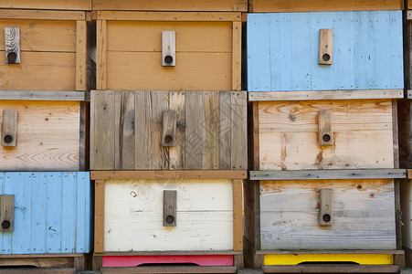 全新可拆洗内衬全新的新蜜蜂屋农场养蜂人蜂窝蜂房草地蜂蜜黄色红色盒子动物背景