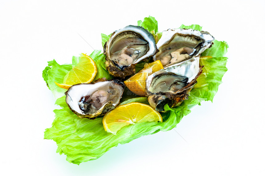 牡蛎食物贝类海洋午餐海鲜奢华贝壳营养壳类柠檬图片