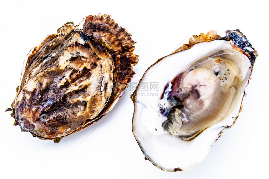 两只牡蛎海洋健康美食海鲜熟食午餐贝壳贝类食物奢华图片