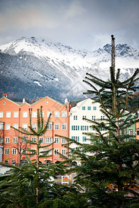 圣诞镇枞树历史性房屋旅游风景建筑学背景图片
