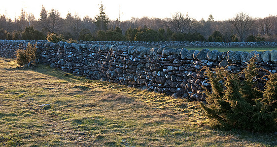 石墙石头栅栏绿色农业刺柏阳光草地场地背景图片