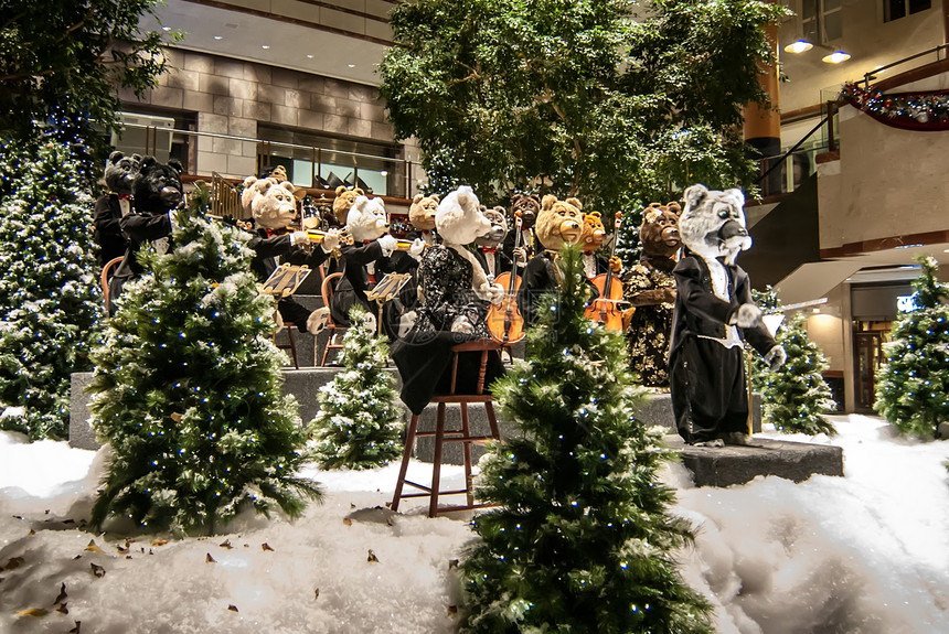 在音乐会上演奏的熊音乐旋律唱歌机器人音乐家演员乐器木头购物中心曲调图片