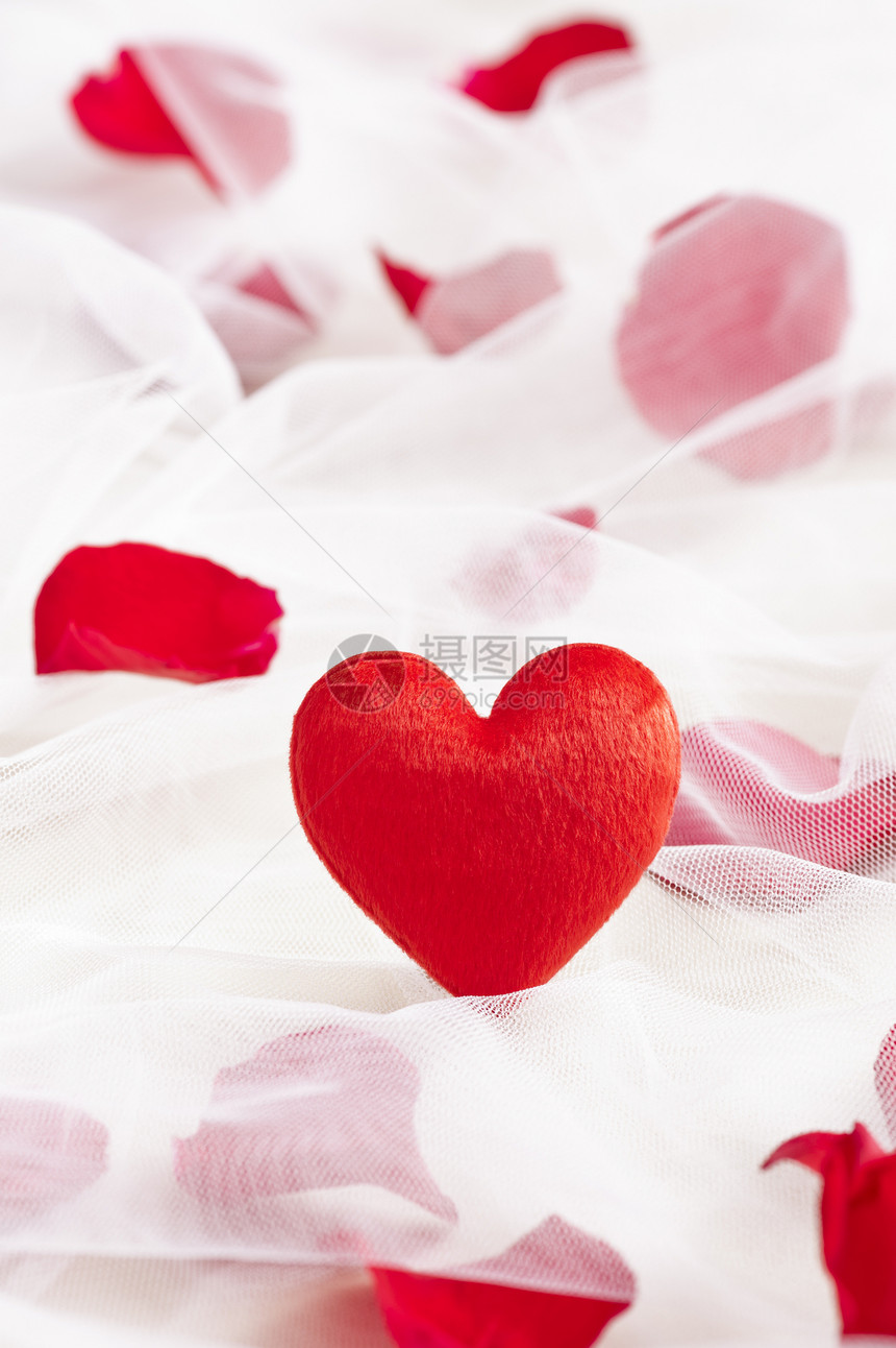 用玫瑰花瓣戴在婚纱上的红心婚礼礼物纪念日包装展示庆典白色面纱红色礼品图片