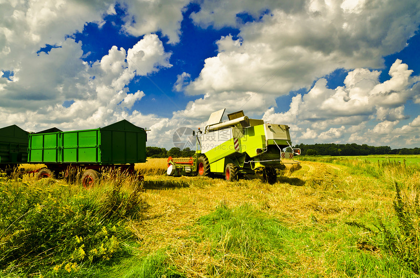 组合收割器农学天空农村农场叶子日落橙子燕麦蔬菜工人图片