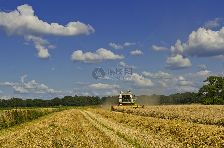组合收割器大麦农业谷物拖拉机力量玉米橙子太阳季节金子图片