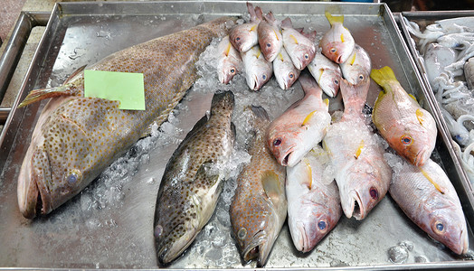 种类繁多的新鲜鱼海鲜海洋销售维生素餐厅美味食品市场钓鱼午餐厨房可口高清图片素材