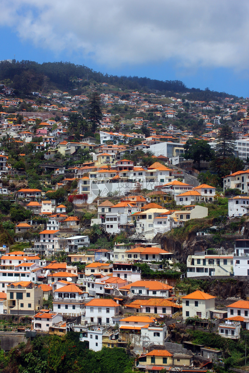 葡萄牙马德拉岛Funchal景点房屋爬坡城市建筑物港口文化火山建筑学房地产图片