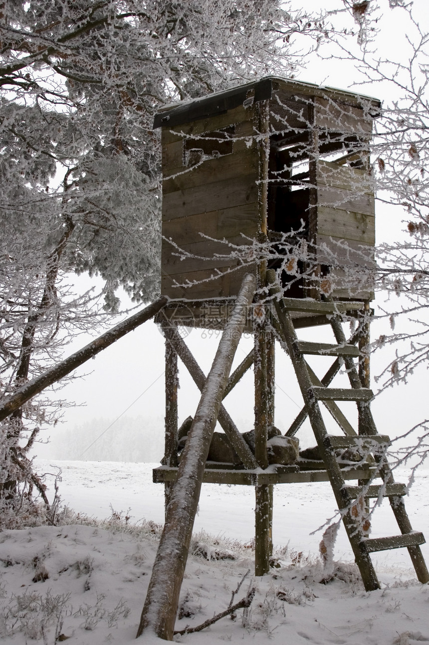 冬季狩猎塔动物松树冻结公猪森林荒野梯子日历木头天空图片