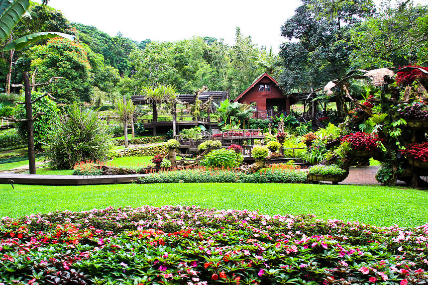 花园 位于泰国Doi Tung旅行凹陷花语园艺灌木绿化旅游树叶植物方法图片