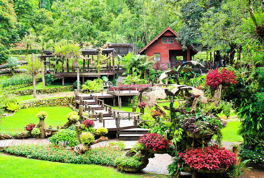 花园 位于泰国Doi Tung草地花语植物小路雕像历史性凹陷绿化绿色植物树叶图片